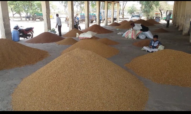 itarsi.mandi, chana, farmers, society