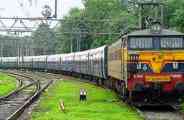 train