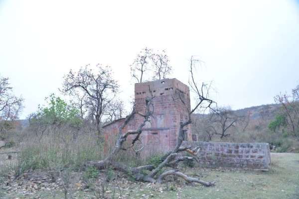 Mukundara Hills Tiger Reserves