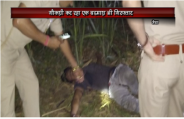 cow Slaughter