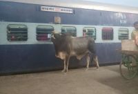 समदड़ी रेल्वे जंक्शन स्टेशन