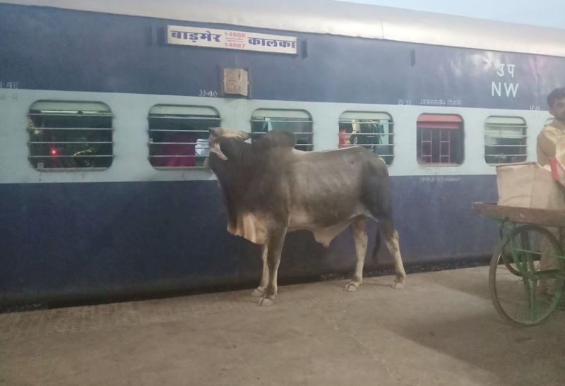 समदड़ी रेल्वे जंक्शन स्टेशन