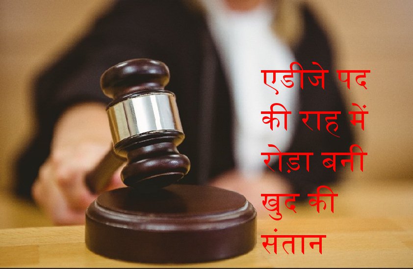 latest decision of mp high court