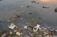 मानिकपुर पोखरी में गंदगी का अंबार, नाले का गंदा पानी मिलने से पीने योग्य नहीं, एसईसीएल प्रबंधन व प्रशासन भी नहीं दे रहा ध्यान