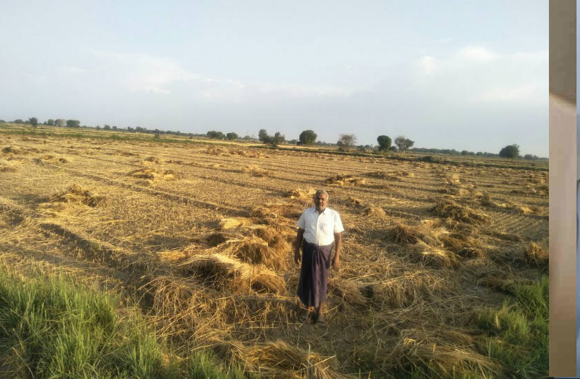 Farmer
