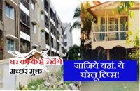 make your home mosquito free