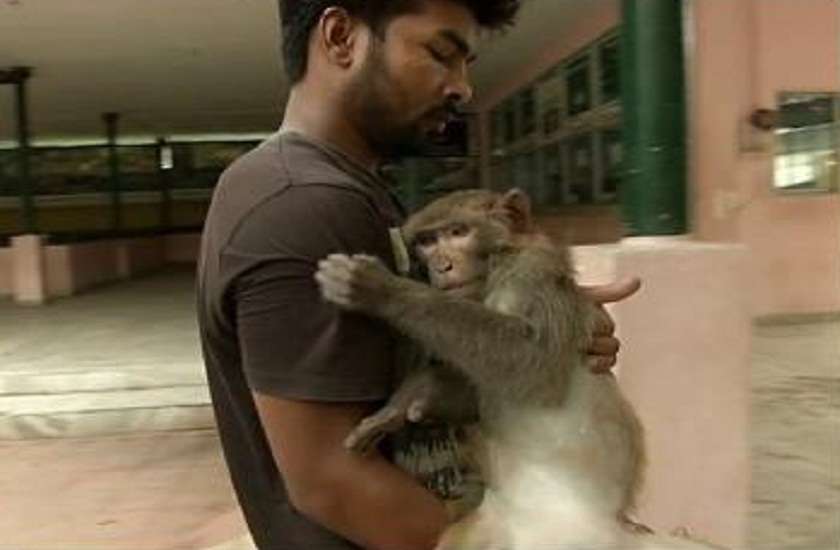 Assam,Guwahati,monkey,man saved monkey,humanity is alive,post got viral,assam man saved animal,