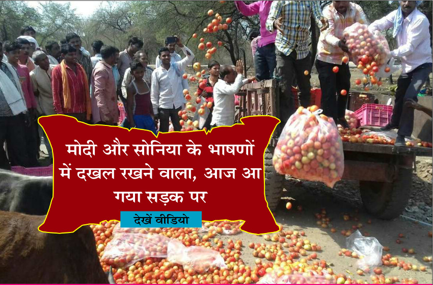 टमाटर के दाम हुए 50 पैसे किलो, किसानो ने सड़कों पर फेंक जताया गुस्सा