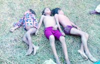 3 children's death in Panna