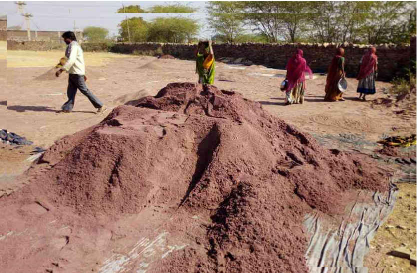 bhilwara, bhilwara news, Treasury of Mineral Trust in bhilwara, Latest news in bhilwara, Bhilwara News in hindi, Hindi News in bhilwara, Latest hindi news in bhilwara