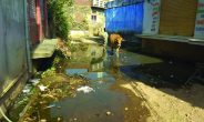 Rajsamand,Rajsamand news,Rajsamand Hindi news,Rajsamand local news,rajsamand latest news,rajsamand news in hindi,rajsamand latest hindi news rajsamand,rajsamand latest news rajsamand,Latest News rajsamand,Latest hindi news rajsamand,