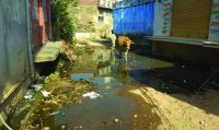 Rajsamand,Rajsamand news,Rajsamand Hindi news,Rajsamand local news,rajsamand latest news,rajsamand news in hindi,rajsamand latest hindi news rajsamand,rajsamand latest news rajsamand,Latest News rajsamand,Latest hindi news rajsamand,