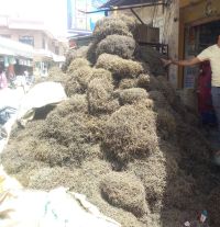 पाटोदी. बाजार में बिक्री के लिए पहुंची सांगरी।