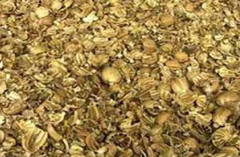 Bhilwara, bhilwara news, 117 kg Doda sawdust recovered from car in bhilwara, Latest news in bhilwara, Bhilwara News in hindi, Hindi News in bhilwara, Latest hindi news in bhilwara