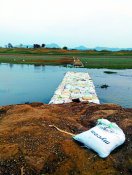 water crisis in sohagpur madhya pradesh news