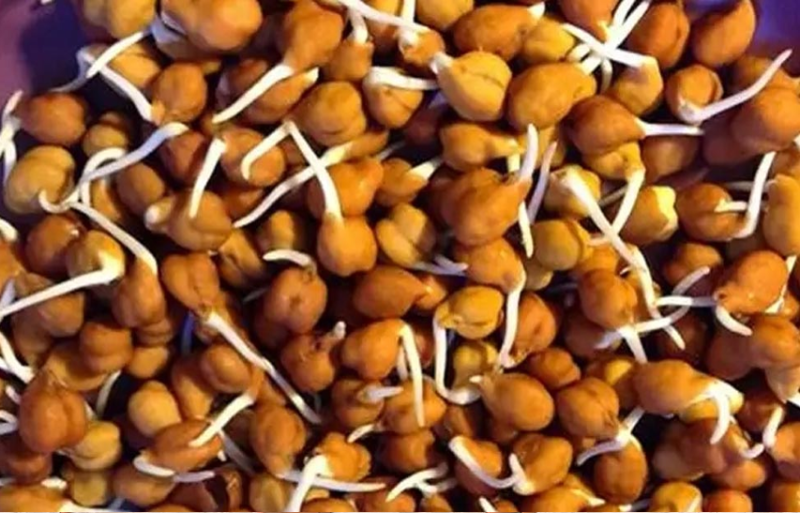 benefits-of-sprouted-gram