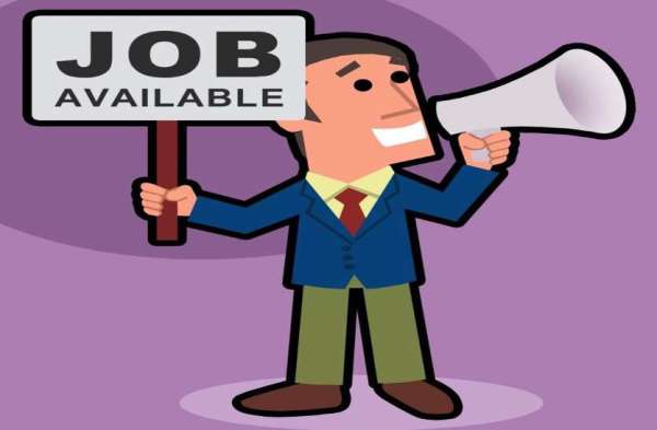 Govt job