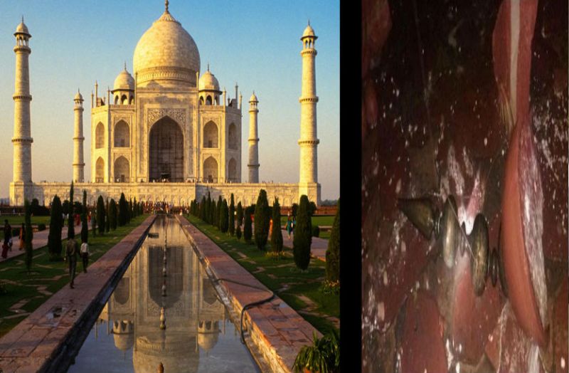 Taj mahal