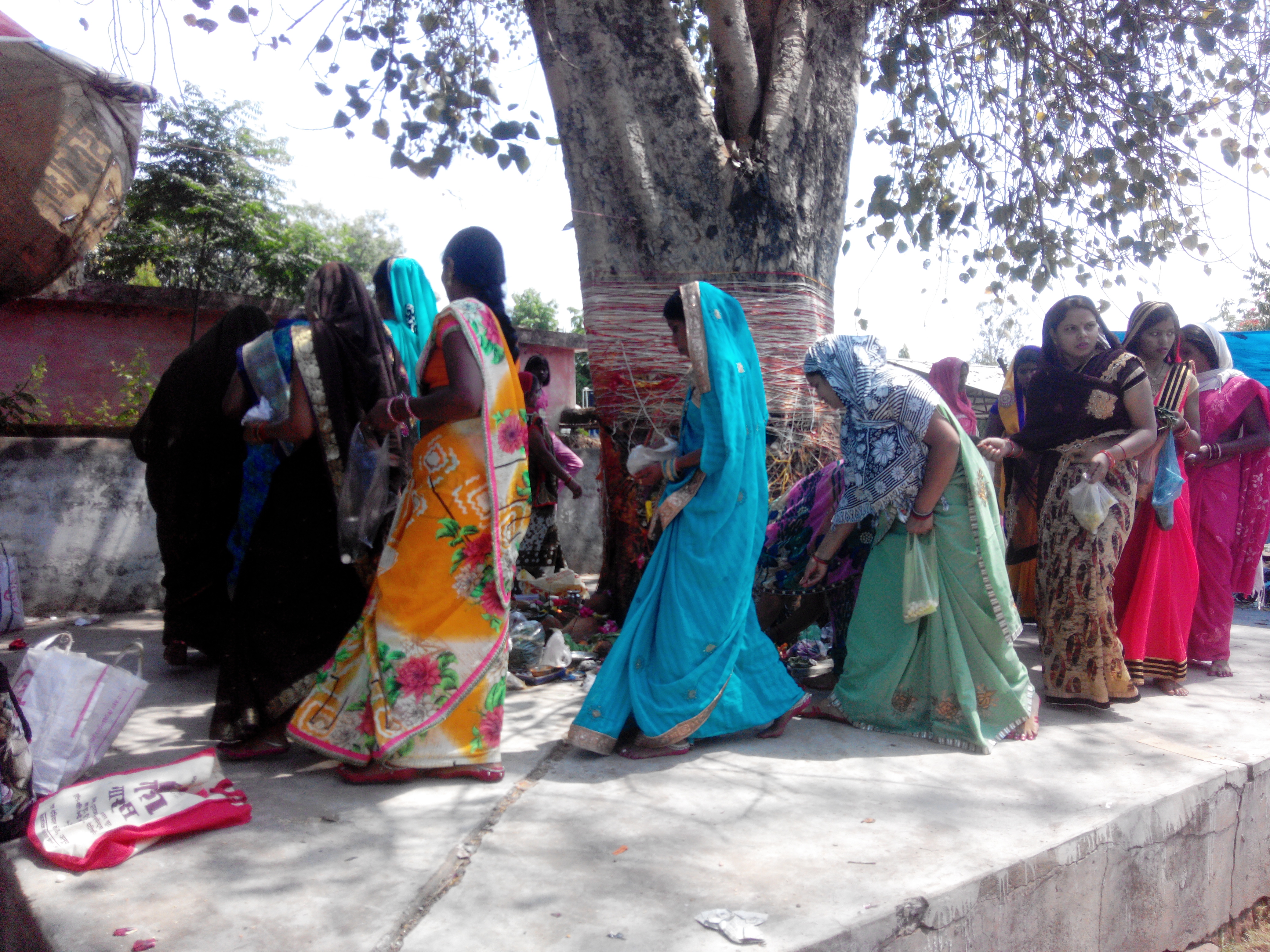 For women to commemorate Suhaggan, 108 piers of Peepal tree, special p
