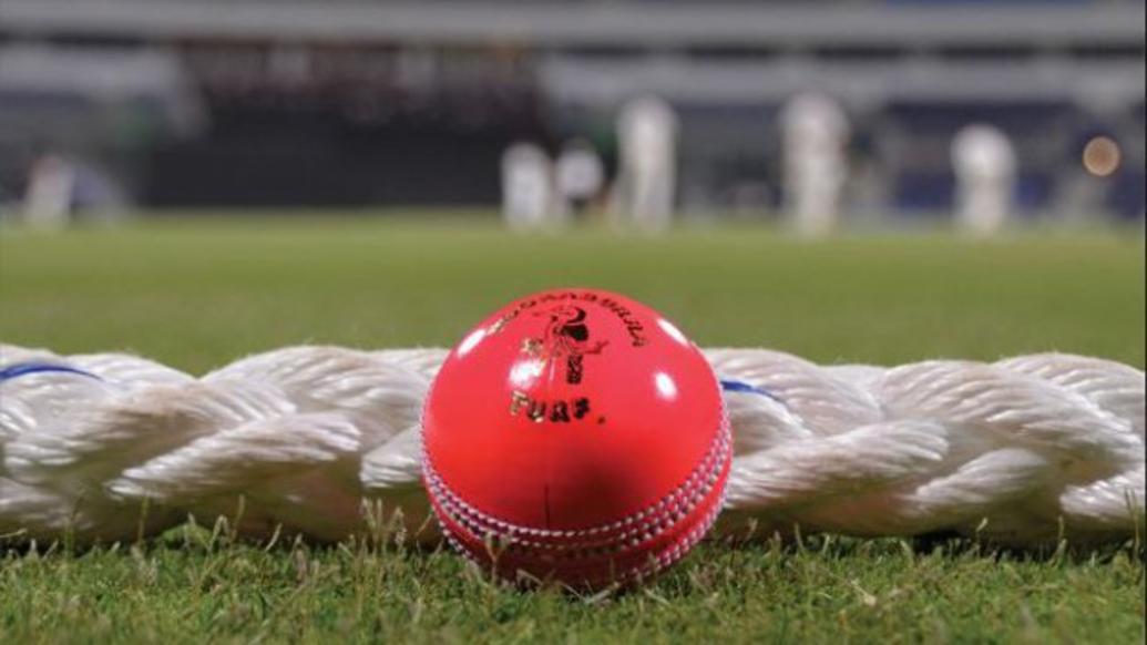 BCCI will use SG ball in domestic cricket