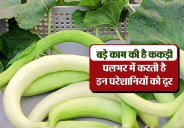lucknow news