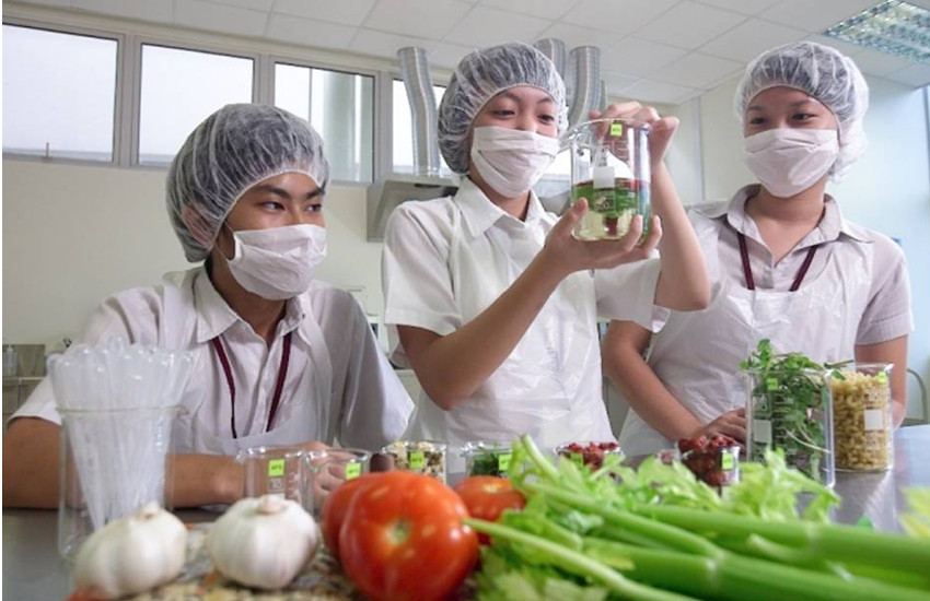 Career in Food Processing Technology