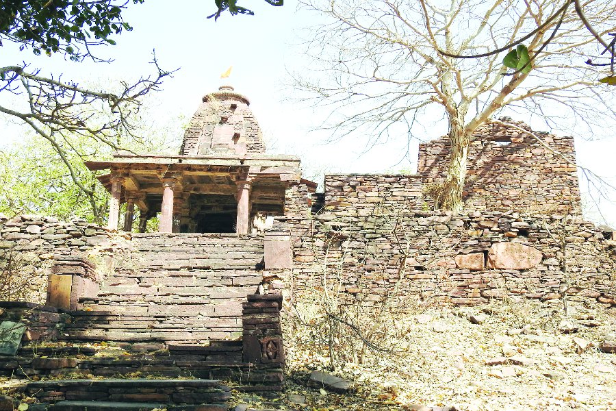World Heritage Day: