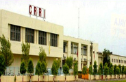 crri