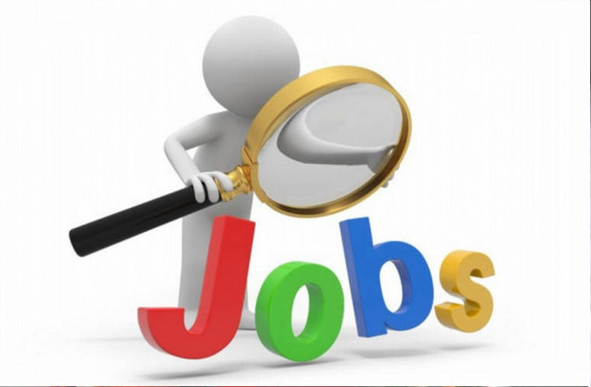 jobs-for-additional-programme-officer-and-block-mis-nodal-officer-post