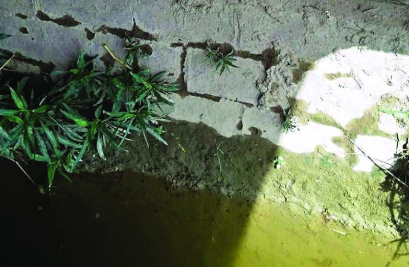 sangria news in one click