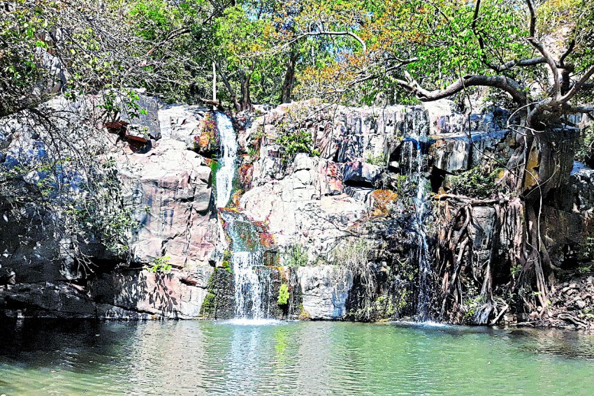 PATRIKA IMPACT: tribals haridwar in falasiya, udaipur