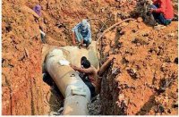 ashok nagar news, patrika news, water problem, water pollution, water shortage, water, shivpuri news,