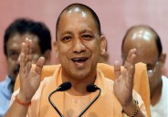 yogi