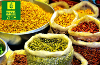 NSCL recruitment 2018