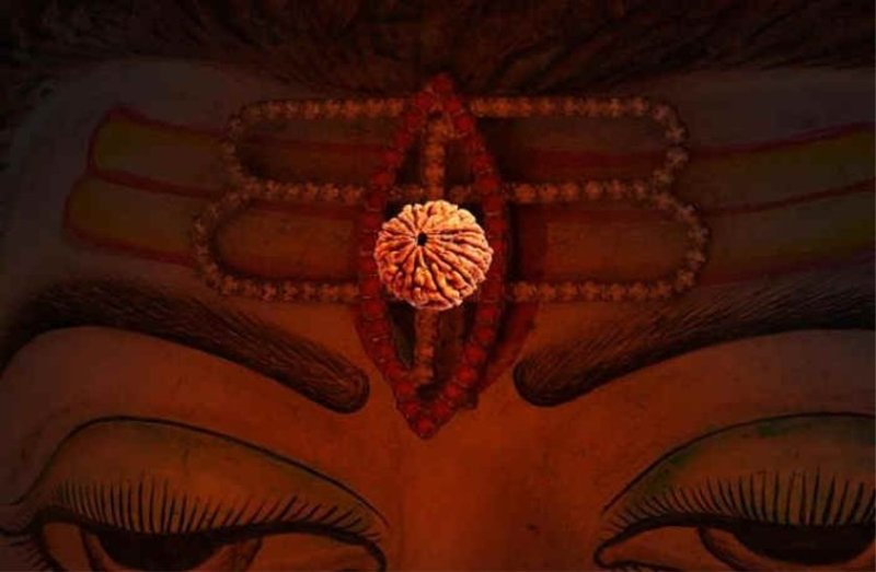 राशि के अनुसार रुद्राक्ष