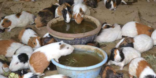 Photos of bad condition of children park in alwar