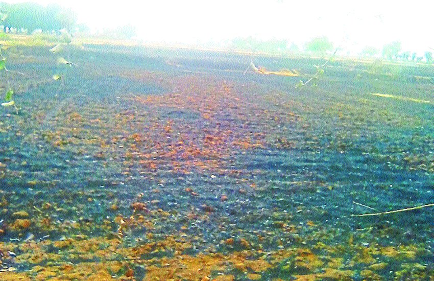 OMG: यहां तालाब से उठी लपटाें काे देखकर हर काेई रह गया हैरान