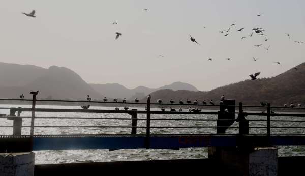 lake fatehsagar