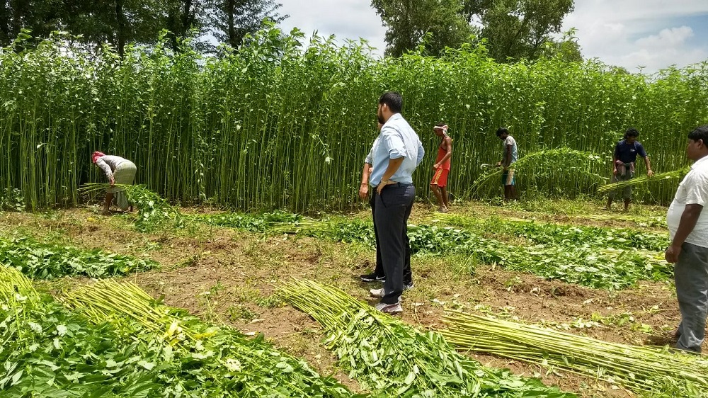 kolkata west bengal