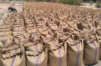 टोंक कृषि उपज मण्डी