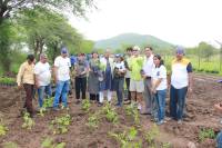 world earth day 2018