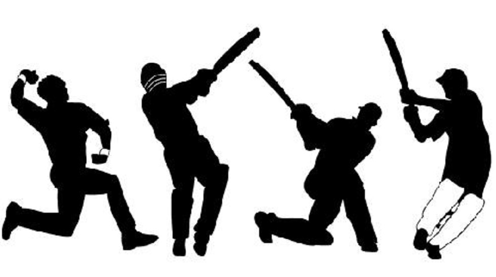 cricket demo pic