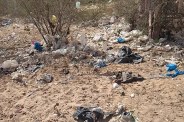 World Earth Day,jodhpur latest news in hindi,