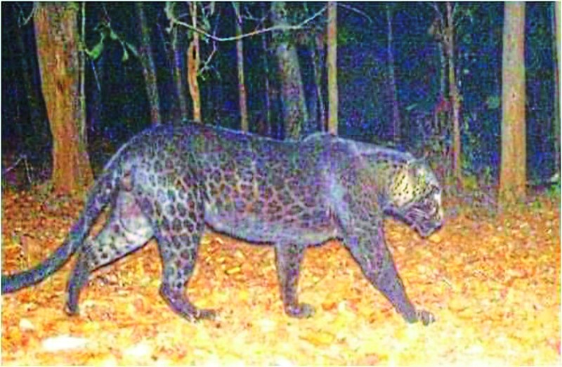 Chhattisgarh Ajab Gajab