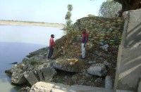  पम्पासागार मॉडल तालाब 