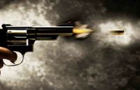 डेमो फोटो