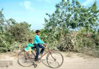 Akhilesh Yadav tweet