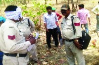 महिला की हत्या कर जंगल में फेंका शव, जांच शुरू