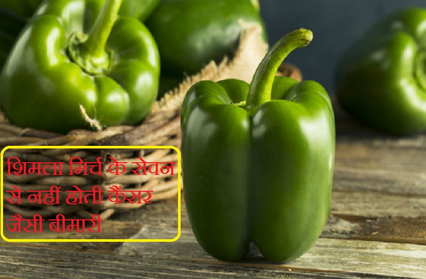 Green bell online pepper in hindi