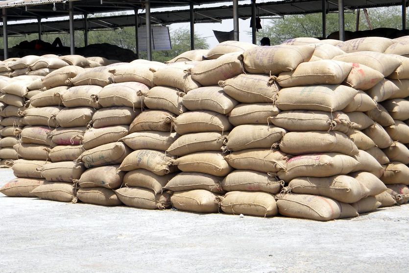 Thousands of sacks of wheat kept under the open sky